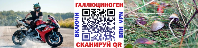 Псилоцибиновые грибы Magic Shrooms  Купить где  Гуково 