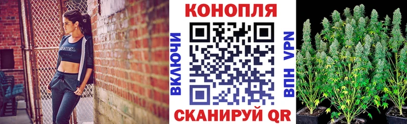 Купить закладки  Гуково  Бошки Шишки MAZAR 